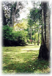 finca costa rica