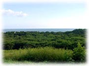 Lotes con Vistas Panoramicas al Oc&eacute;ano