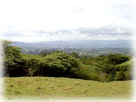 heredia property