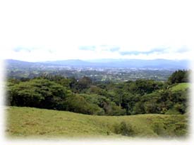 mirador