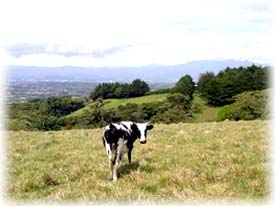 investment heredia