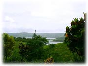 Finca Arenal