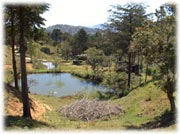 montanas costa rica