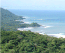 Premiere Panoramic Ocean View Acreage for Sale