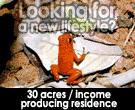 Caribbean properties 