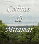 Miramar Costa Rica Real Estate
