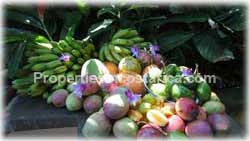 Lifestyle in Pavones Costa Rica