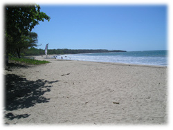 preconstruction - Guanacaste Real Estate