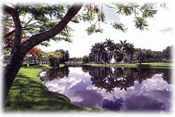 Tamarindo Real Estate