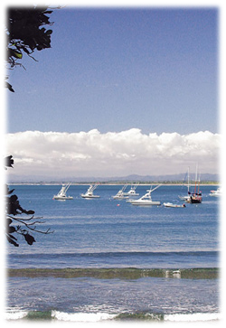 Costa Rica Real Estate - Tamarindo Paradise