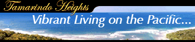Upscale costa rica properties for sale in Costa Rica tamarindo, guanacasete, escazu, golf and marina options, los sue�os .