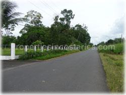 Limon real estate, for sale, land for sale, river, swimming pool, Limon properties, 1766