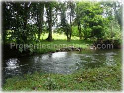Limon real estate, for sale, land for sale, river, swimming pool, Limon properties, 1766