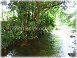 Limon real estate, for sale, land for sale, river, swimming pool, Limon properties, 1766