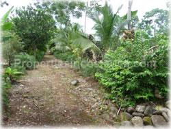 Limon real estate, for sale, land for sale, river, swimming pool, Limon properties, 1766