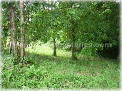 Limon real estate, for sale, land for sale, river, swimming pool, Limon properties, 1766