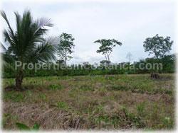 Limon real estate, for sale, land for sale, river, swimming pool, Limon properties, 1766