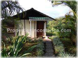 Costa Rica land for sale, ocean view, mountain view, waterfall, panoramic, south pacific, cattle, horses, development land