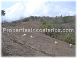 Guanacaste land, for sale, Santa Cruz for sale, large land, development, investment, 1623