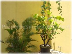 Lindora Santa Ana, homes for rent, townhouses for rent, gated community, swimming pool