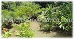 Costa Rica real estate, for sale, Dominical Costa Rica, ocean view home, swimming pool, panoramic views