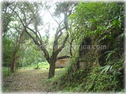 Paquera Costa Rica, Nicoya peninsula, Costa Rica real estate, ocean view land, for sale, watersprings, teak wood, Costa Rica farms