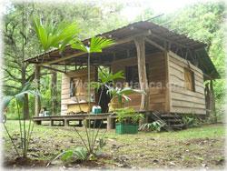Paquera Costa Rica, Nicoya peninsula, Costa Rica real estate, ocean view land, for sale, watersprings, teak wood, Costa Rica farms