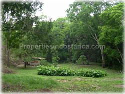Paquera Costa Rica, Nicoya peninsula, Costa Rica real estate, ocean view land, for sale, watersprings, teak wood, Costa Rica farms