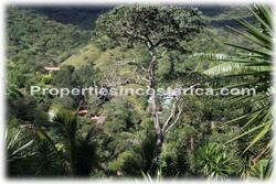 Costa Rica real estate, Santa Ana real estate, mountain estate, houses, river, horse stables, quarters, meditation property, nature, peace, vacation rentals, sanctuary, yoga, plantations, investment potential, west valley, 1859