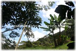 Costa Rica real estate, Santa Ana real estate, mountain estate, houses, river, horse stables, quarters, meditation property, nature, peace, vacation rentals, sanctuary, yoga, plantations, investment potential, west valley, 1859