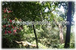 Costa Rica real estate, Santa Ana real estate, mountain estate, houses, river, horse stables, quarters, meditation property, nature, peace, vacation rentals, sanctuary, yoga, plantations, investment potential, west valley, 1859