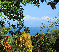 Ocean View! Walk to Surf!
