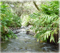 Costa Rica luxury house for sale 