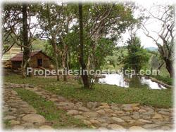 Cartago real estate, property for investment, hotel developing, land for hotel