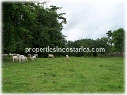 Farm for sale