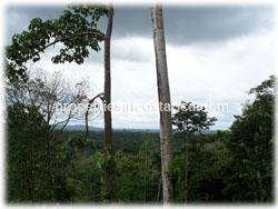 river, crops, irrigation, Costa Rica forest.