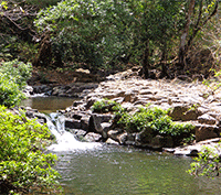 Gorgeous land oppritunity with incredible potential in Atenas