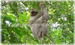 Ciudad Colon real estate, Ciudad Colon Costa Rica, Cerro Colon, investment, gated community, upclass, 1686