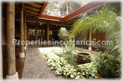 Dominical forest, rain forest, Dominical for sale, ecological, eco lodge property, investing opportunity, internet, nature, flora, fauna, animals, waterfall, creek, beach access, 1470