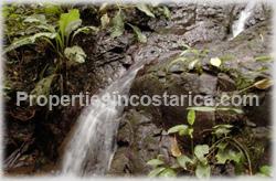 Dominical forest, rain forest, Dominical for sale, ecological, eco lodge property, investing opportunity, internet, nature, flora, fauna, animals, waterfall, creek, beach access, 1470