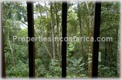Dominical forest, rain forest, Dominical for sale, ecological, eco lodge property, investing opportunity, internet, nature, flora, fauna, animals, waterfall, creek, beach access, 1470
