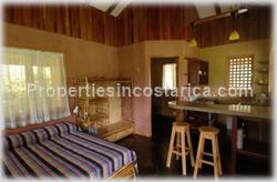 Dominical forest, rain forest, Dominical for sale, ecological, eco lodge property, investing opportunity, internet, nature, flora, fauna, animals, waterfall, creek, beach access, 1470