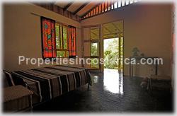 Dominical forest, rain forest, Dominical for sale, ecological, eco lodge property, investing opportunity, internet, nature, flora, fauna, animals, waterfall, creek, beach access, 1470
