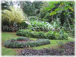 Asian home, Asian style, pool, exotic home, mystic home, nature, unique fauna, monkeys, toucans, luxury, Costa Rica South Pacific, uvita for sale, Asian design, 1616