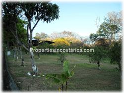 Atenas Costa Rica, Atenas real estate, Atenas realty, Atenas properties, Atenas estate, large, over a hectare, swimming pool, soccer field, ranch, social area, land with house, 1854
