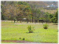 Atenas Costa Rica, Atenas real estate, Atenas realty, Atenas properties, Atenas estate, large, over a hectare, swimming pool, soccer field, ranch, social area, land with house, 1854