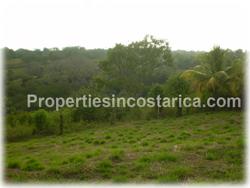 Costa Rican trees, possibilities, arge family house, health retreat, hotel, bungalows