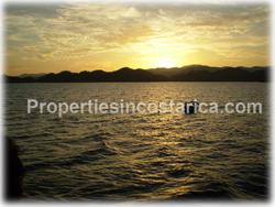 Costa Rican trees, possibilities, arge family house, health retreat, hotel, bungalows