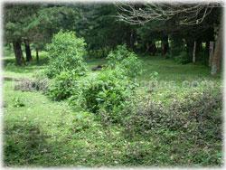 Heredia for sale, flat lot