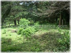 Heredia for sale, flat lot